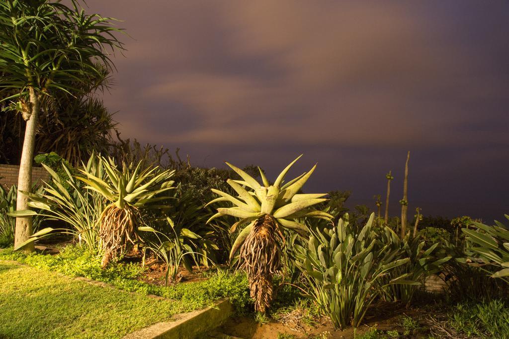 Misty Blue Bed And Breakfast Durban Exteriör bild