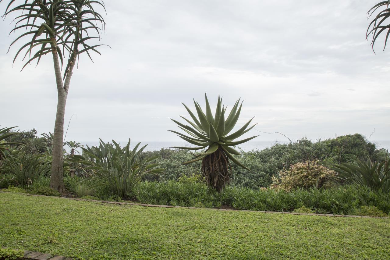 Misty Blue Bed And Breakfast Durban Exteriör bild